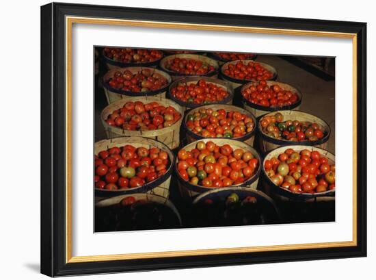 Puerto Rico: Tomatoes-Jack Delano-Framed Giclee Print