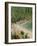 Puerto Vallarta. Mexico, Central America-Firecrest Pictures-Framed Photographic Print