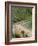 Puerto Vallarta. Mexico, Central America-Firecrest Pictures-Framed Photographic Print