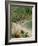 Puerto Vallarta. Mexico, Central America-Firecrest Pictures-Framed Photographic Print