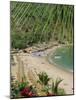 Puerto Vallarta. Mexico, Central America-Firecrest Pictures-Mounted Photographic Print