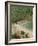 Puerto Vallarta. Mexico, Central America-Firecrest Pictures-Framed Photographic Print