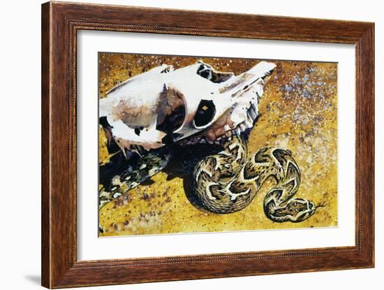 Puff Adder or African Puff Adder (Bitis Arietans), Viperidae-null-Framed Giclee Print