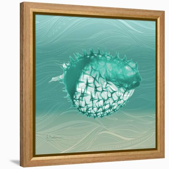 Puff Fish F22-Albert Koetsier-Framed Stretched Canvas