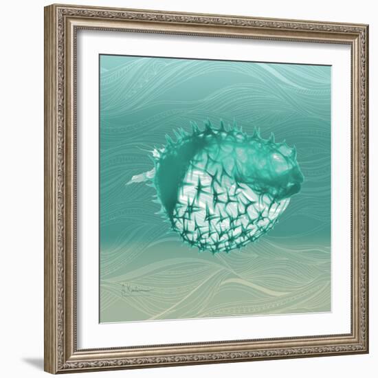 Puff Fish F22-Albert Koetsier-Framed Art Print