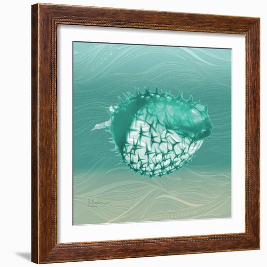 Puff Fish F22-Albert Koetsier-Framed Art Print