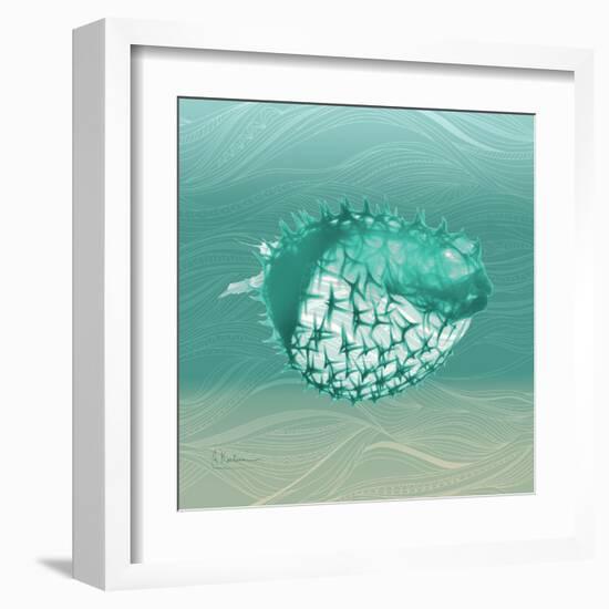 Puff Fish F22-Albert Koetsier-Framed Art Print