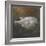 Puffer Fish, 2015-Lincoln Seligman-Framed Giclee Print