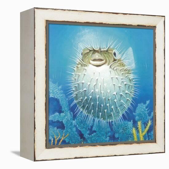 Puffer Fish-Durwood Coffey-Framed Premier Image Canvas