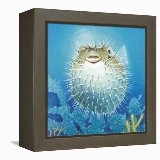 Puffer Fish-Durwood Coffey-Framed Premier Image Canvas