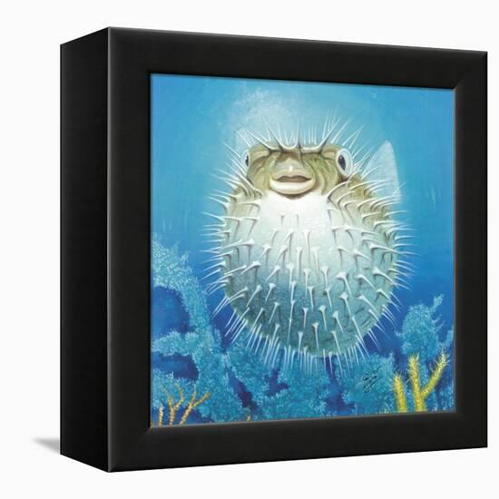 Puffer Fish-Durwood Coffey-Framed Premier Image Canvas