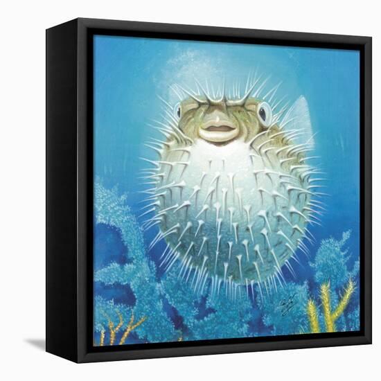 Puffer Fish-Durwood Coffey-Framed Premier Image Canvas