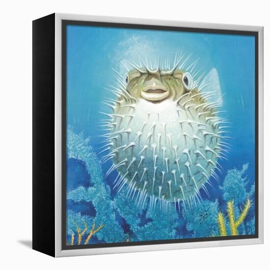 Puffer Fish-Durwood Coffey-Framed Premier Image Canvas