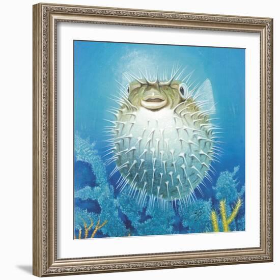 Puffer Fish-Durwood Coffey-Framed Giclee Print