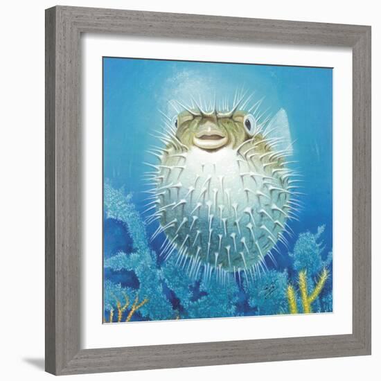 Puffer Fish-Durwood Coffey-Framed Giclee Print