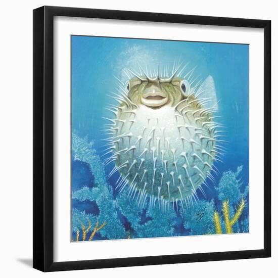 Puffer Fish-Durwood Coffey-Framed Giclee Print