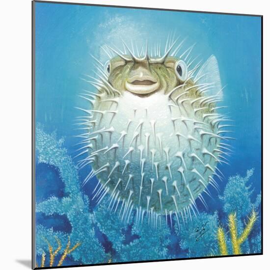 Puffer Fish-Durwood Coffey-Mounted Giclee Print