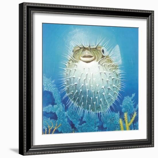 Puffer Fish-Durwood Coffey-Framed Giclee Print