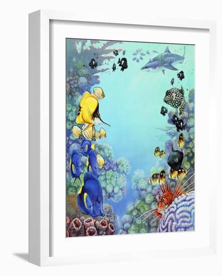 Puffer Reef-Tim Knepp-Framed Giclee Print