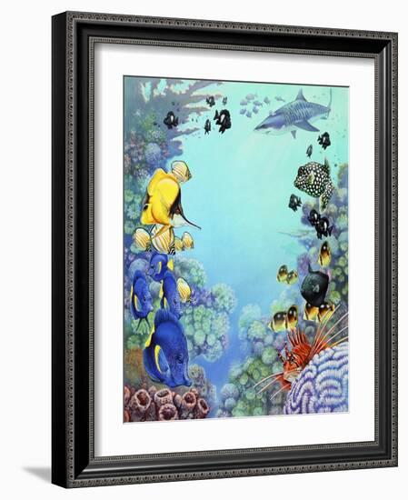 Puffer Reef-Tim Knepp-Framed Giclee Print