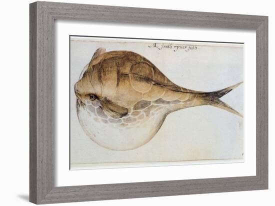 Puffer-John White-Framed Giclee Print