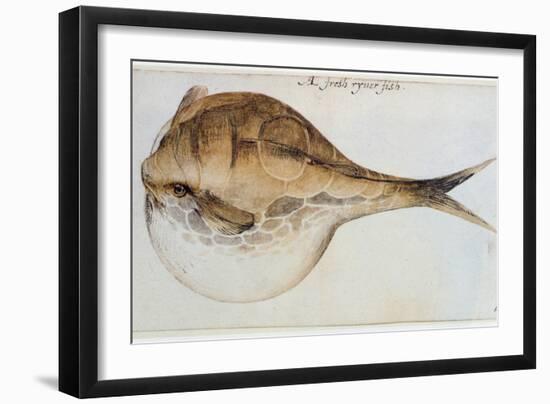 Puffer-John White-Framed Giclee Print