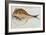 Puffer-John White-Framed Giclee Print