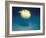 Pufferfish, Galapagos Islands, Ecuador-Jack Stein Grove-Framed Photographic Print