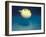 Pufferfish, Galapagos Islands, Ecuador-Jack Stein Grove-Framed Photographic Print