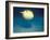 Pufferfish, Galapagos Islands, Ecuador-Jack Stein Grove-Framed Photographic Print