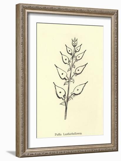 Puffia Leatherbellowsa-Edward Lear-Framed Giclee Print