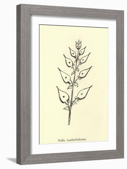 Puffia Leatherbellowsa-Edward Lear-Framed Giclee Print