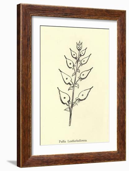 Puffia Leatherbellowsa-Edward Lear-Framed Giclee Print