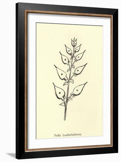 Puffia Leatherbellowsa-Edward Lear-Framed Giclee Print