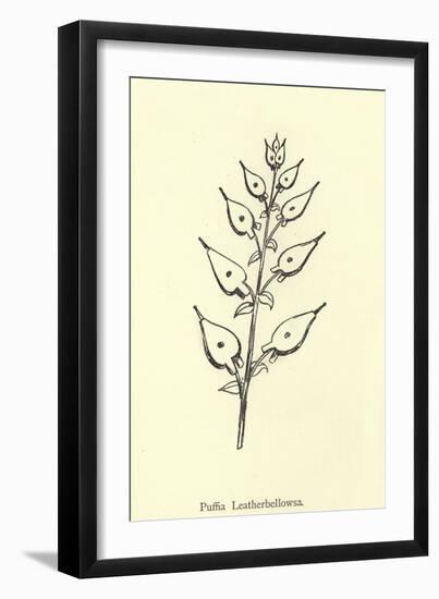 Puffia Leatherbellowsa-Edward Lear-Framed Giclee Print