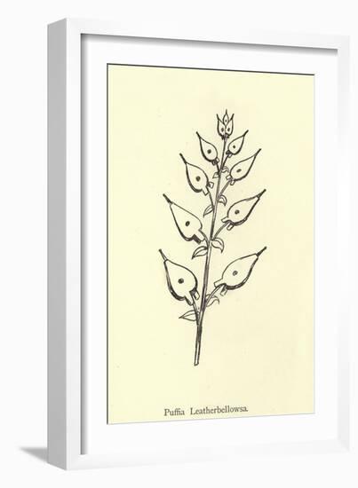 Puffia Leatherbellowsa-Edward Lear-Framed Giclee Print