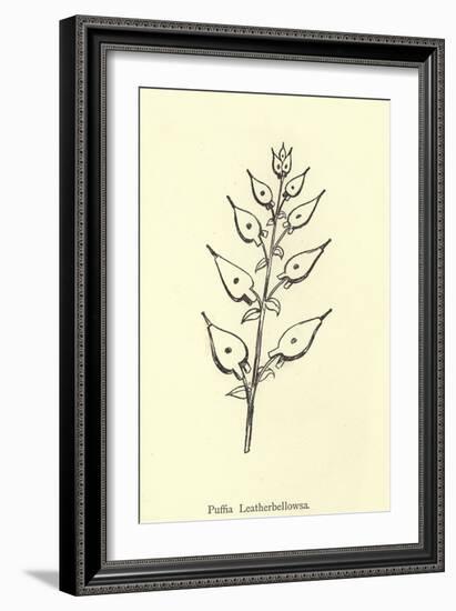 Puffia Leatherbellowsa-Edward Lear-Framed Giclee Print