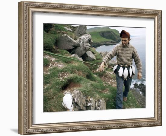 Puffin Catcher, Faroe Islands (Faeroes), Denmark, North Atlantic-Adam Woolfitt-Framed Photographic Print