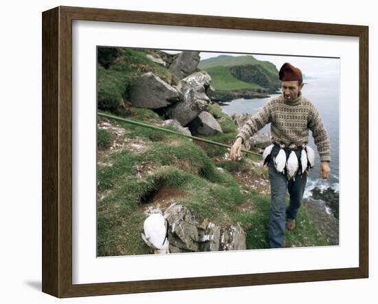 Puffin Catcher, Faroe Islands (Faeroes), Denmark, North Atlantic-Adam Woolfitt-Framed Photographic Print