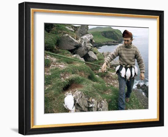 Puffin Catcher, Faroe Islands (Faeroes), Denmark, North Atlantic-Adam Woolfitt-Framed Photographic Print