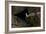 Puffin Cave-Howard Ruby-Framed Photographic Print