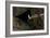 Puffin Cave-Howard Ruby-Framed Photographic Print