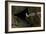 Puffin Cave-Howard Ruby-Framed Photographic Print