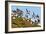 Puffin Fishing Party Departs for Sea-Howard Ruby-Framed Photographic Print