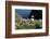 Puffin (Fratercula Arctica) by Entrance to Burrow Amongst Sea Thrift (Armeria Sp.) Shetlands, UK-Alex Mustard-Framed Photographic Print