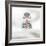 Puffin (Fratercula), Farne Islands, Northumberland, England-David Gibbon-Framed Photographic Print