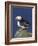 Puffin on Rock, Fratercula Arctica, Isle of May, Scotland, United Kingdom-Steve & Ann Toon-Framed Photographic Print