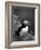 Puffin Portrait, Great Saltee Is, Ireland-Pete Oxford-Framed Photographic Print