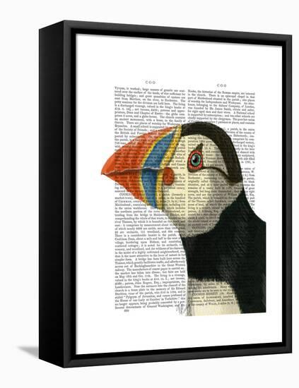 Puffin Portrait-Fab Funky-Framed Stretched Canvas