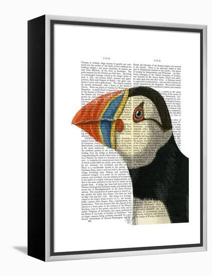 Puffin Portrait-Fab Funky-Framed Stretched Canvas